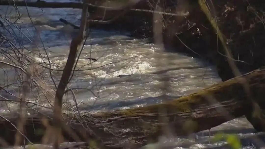 华盛顿特区供水局还需要约9个月时间，才能修复位于495号州际公路与克拉拉·巴顿公