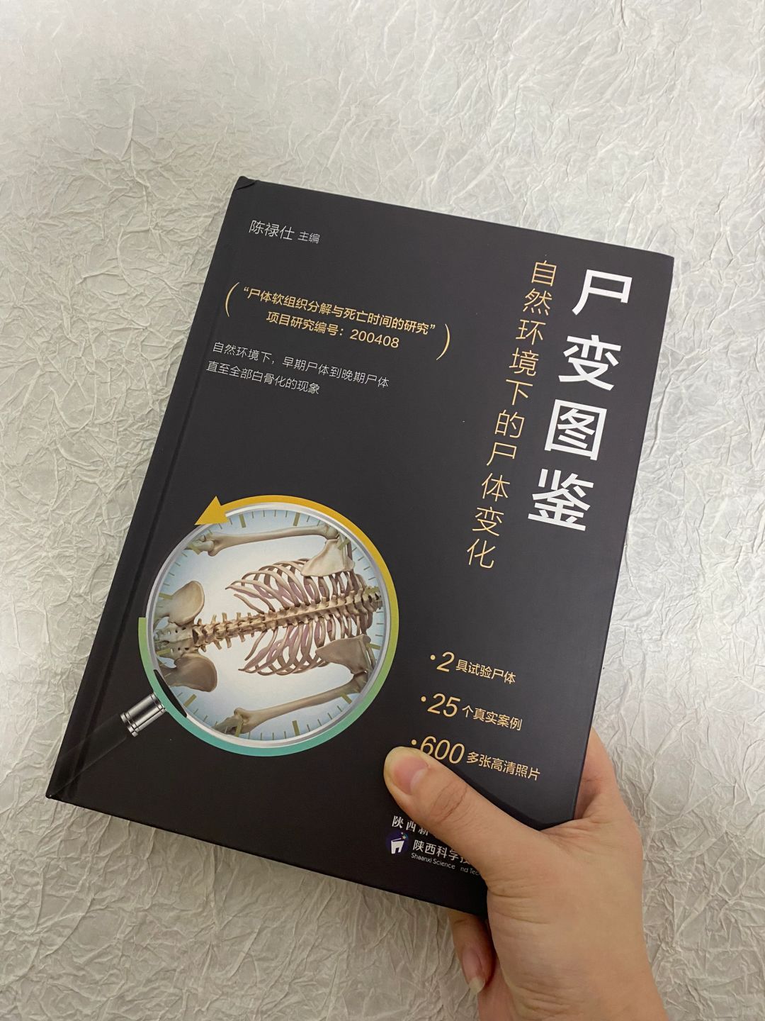 每天学个冷门知识——辨尸术，请鬼鬼祟祟观看