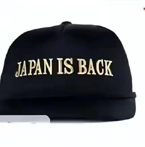 JAPAN IS BACK。
这个句型中back只能是形容词、adj. 意思是后