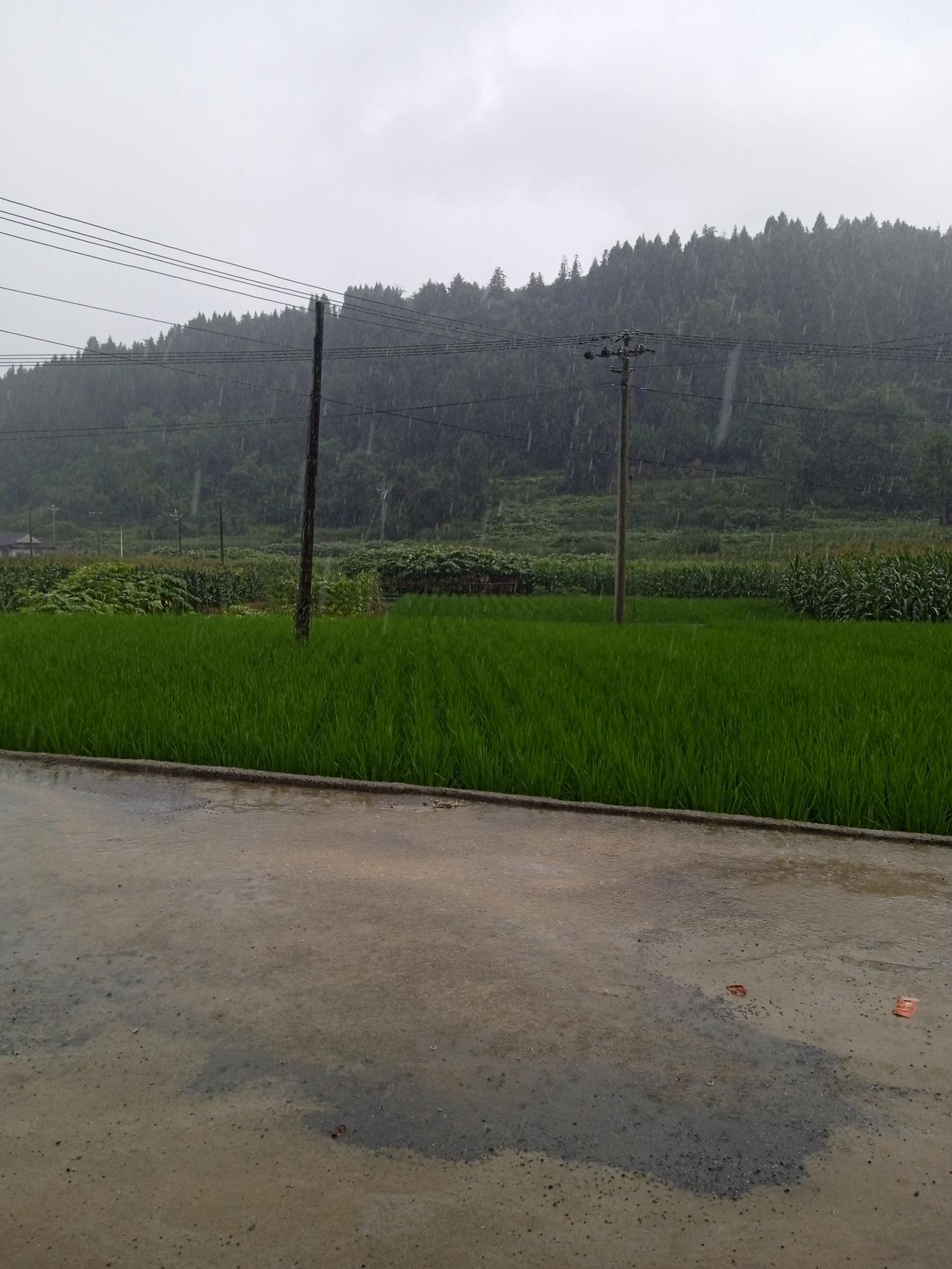 “人把自己置身于忙碌之中，一种盲目的踏实，但丧失了真实。”
这就是大多数人普通的