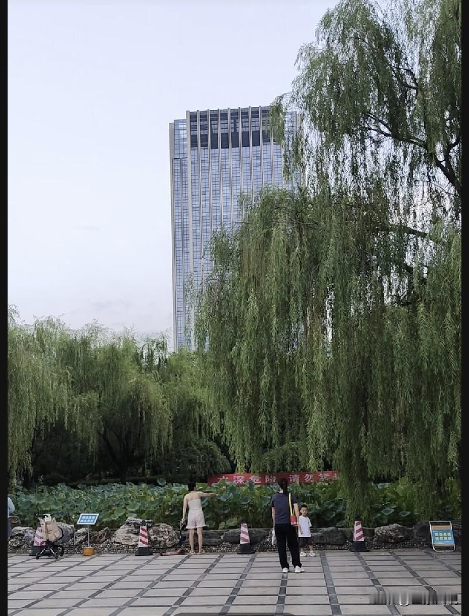 昨天下午去文景公园拉胡胡，天虽然热但不是太难受，关键是蚊子把人差点吃了。
   