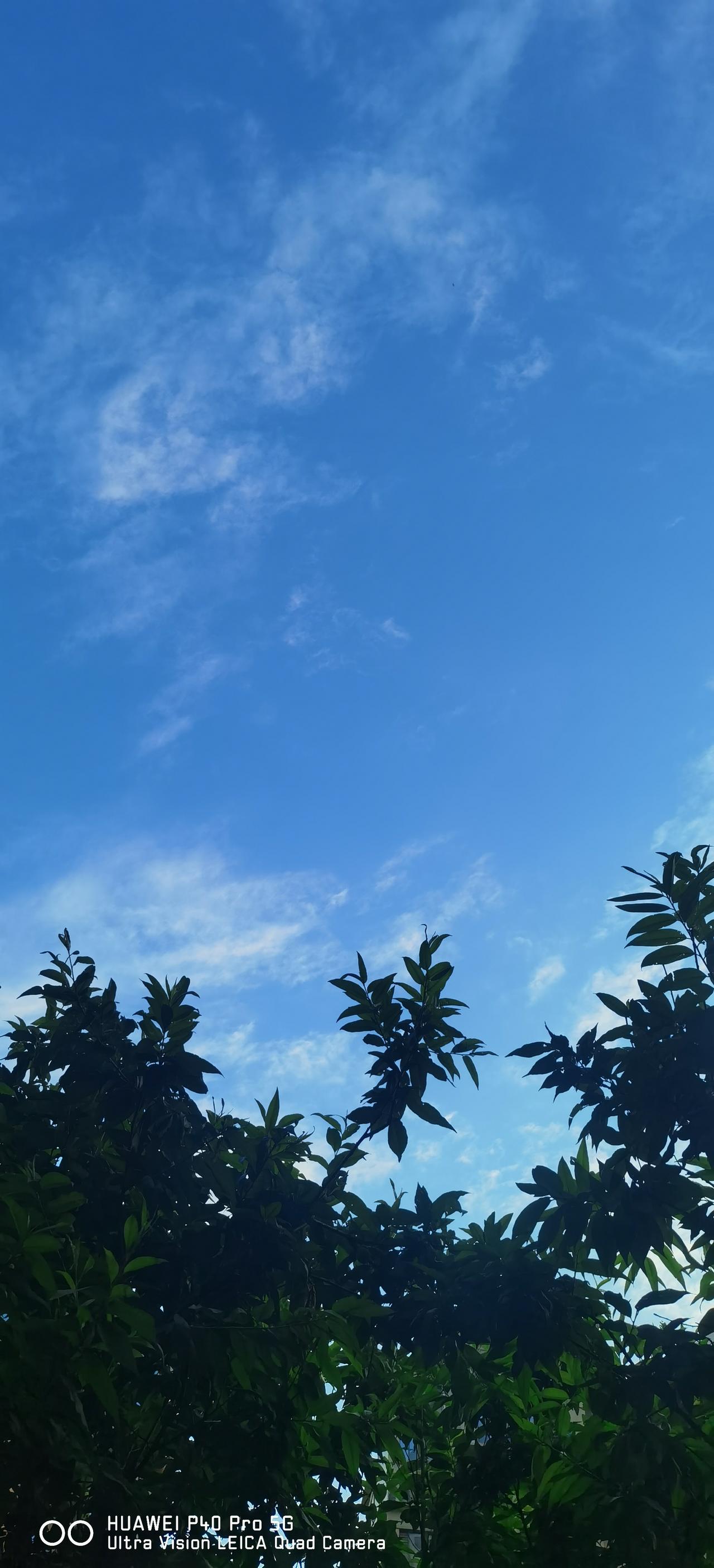 天气预报又跟我们开了一个玩笑，等了一晚上的大雨连个雨点都没等来，害的我还失眠了。