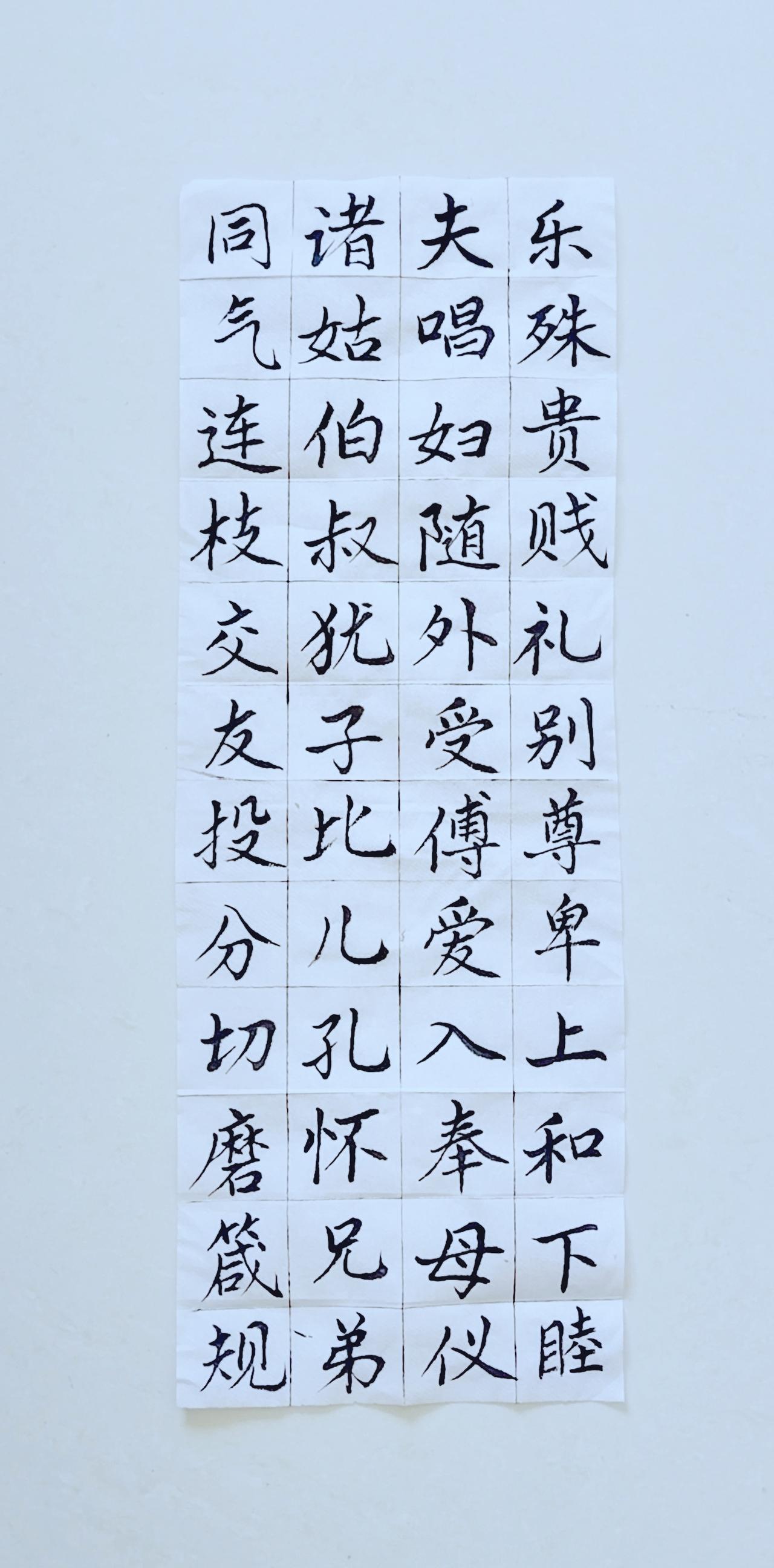 第五十三天《千字文》（8）正楷毛笔练习！[点亮平安灯]