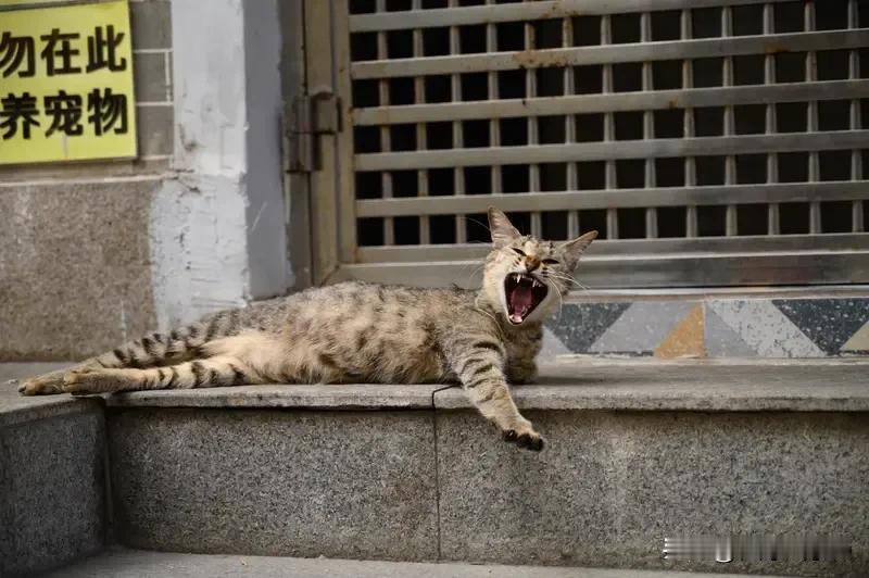 在法治社会的约束下，闹闹们现在除了“自嗨论”和“诅咒论”还能用一用。真的没有什么