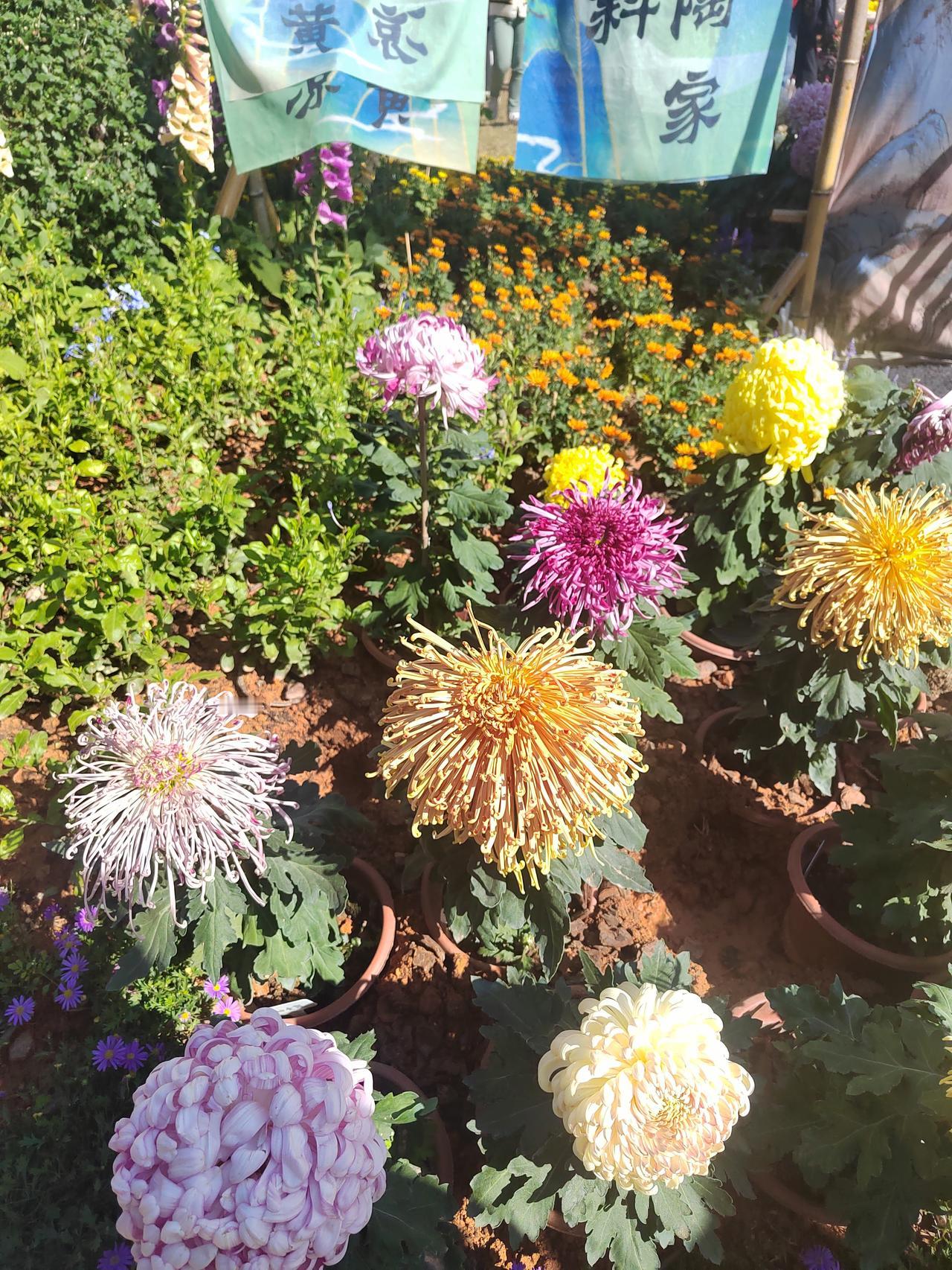 晒图笔记大赛太过于好说话的人，最终都是吃亏的，所以真的不要将就别人，这个世界上人