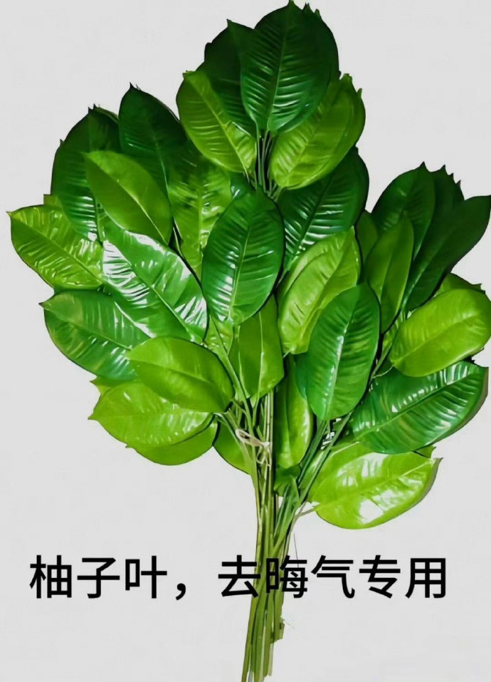 柚子叶，去晦气专用，霉运退散！ 