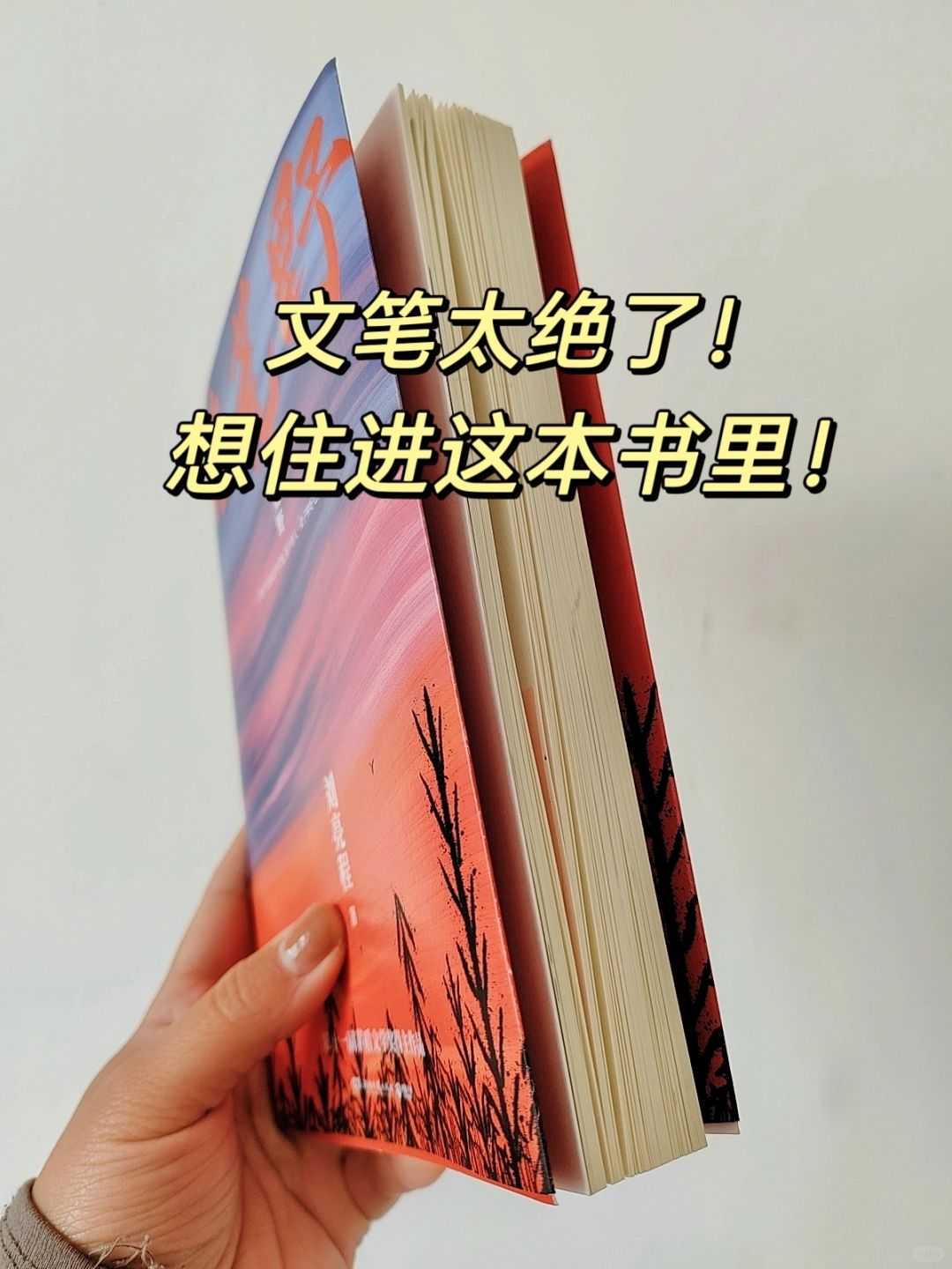 我宣布！这是我读过最惊艳的散文！