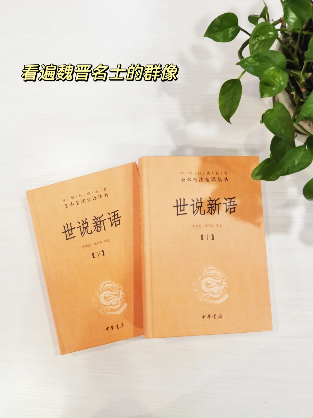 一套书看遍魏晋名士的群像～