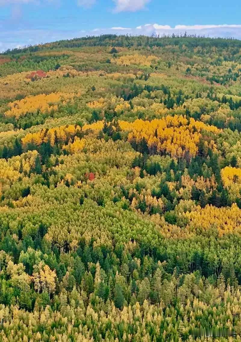 大兴安岭潮满林场