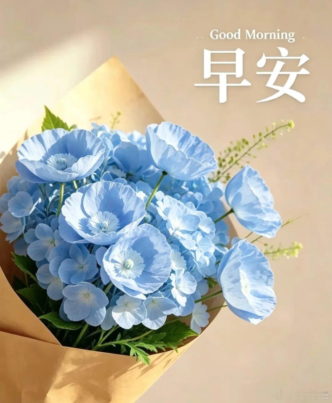 早安问候温馨提示美图系列～ 吉祥如意平安顺遂！ 