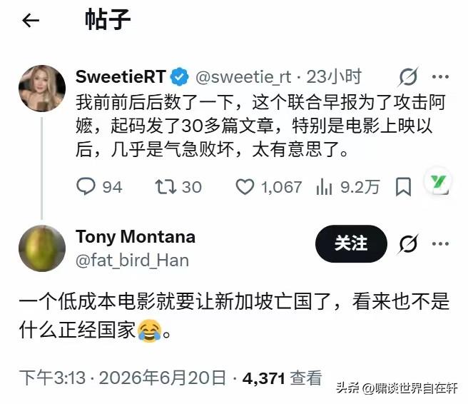 我靠！
新加坡《联合早报》，
这是要对《给阿嬷的情书》，
出本书啊！
为什么新加