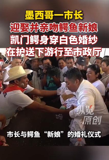 真没看错！墨西哥市长当众亲吻鳄鱼“新娘”，还办了场风光婚礼，原因竟是这个。

这