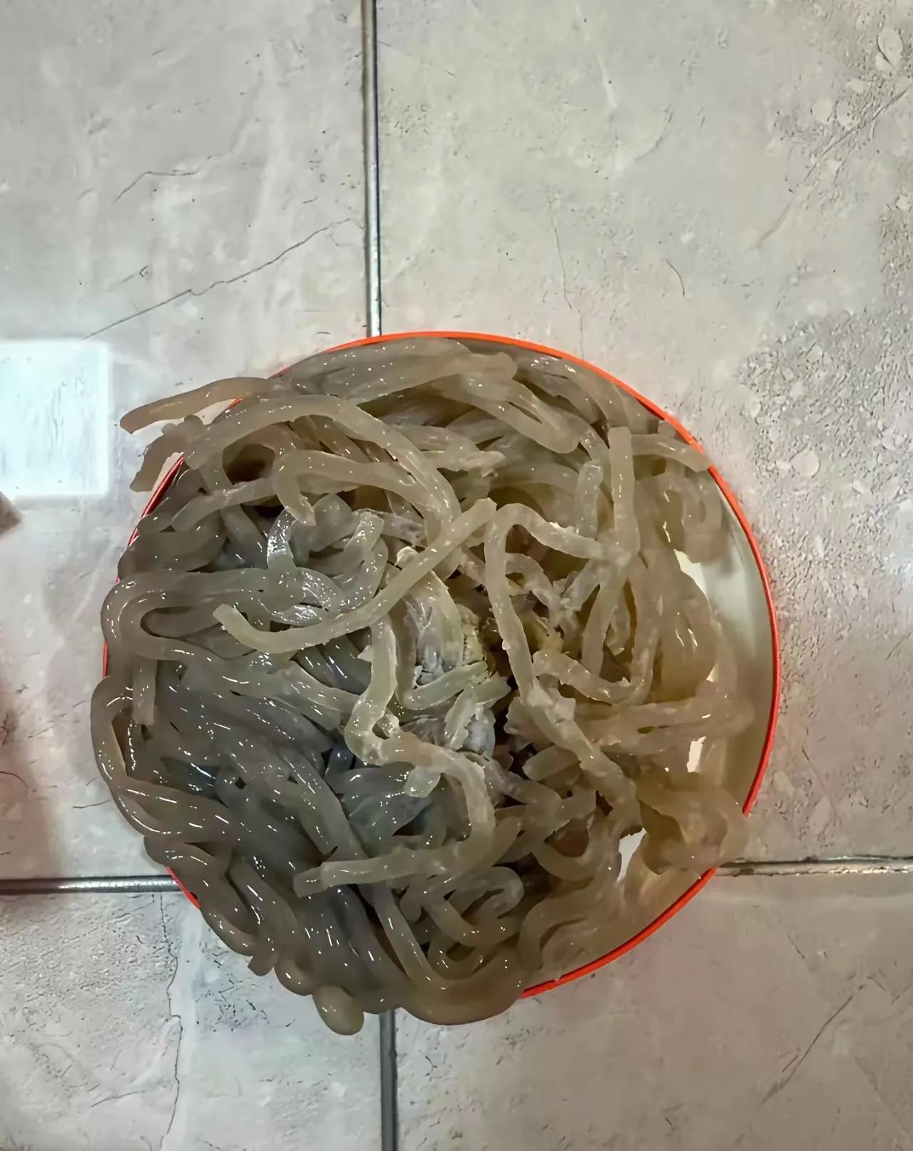 听闻某辣粉又出来直播了，支持酸辣粉的请多囤点货，最好把发霉的全买了，销毁多可惜，