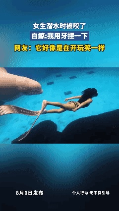 女生潜水时被咬了，白鲸:我用牙捏一下，网友：它好像是在开玩笑一样[黑脸]