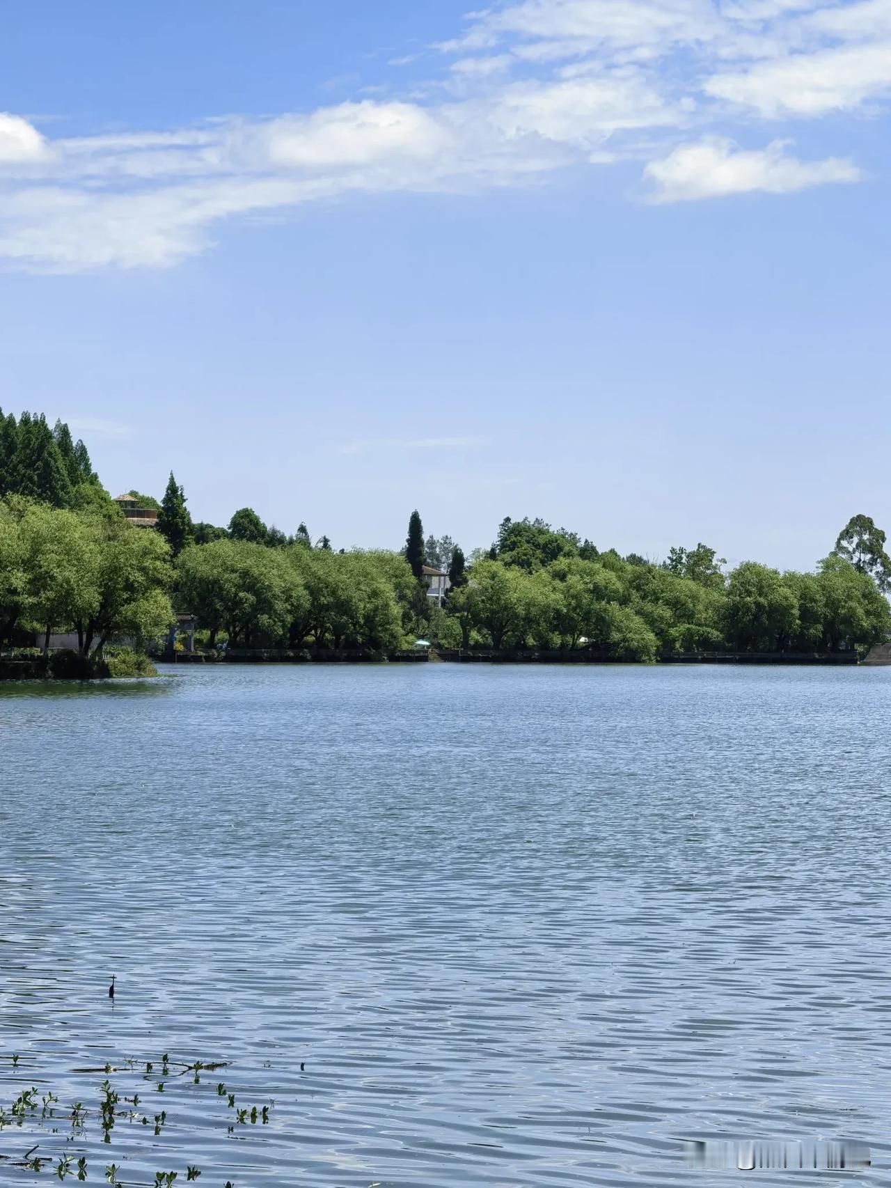 时隔一个月，我又来到清漪湖农家乐小住两日。上次来是和老同事一起，今天来是和老同学