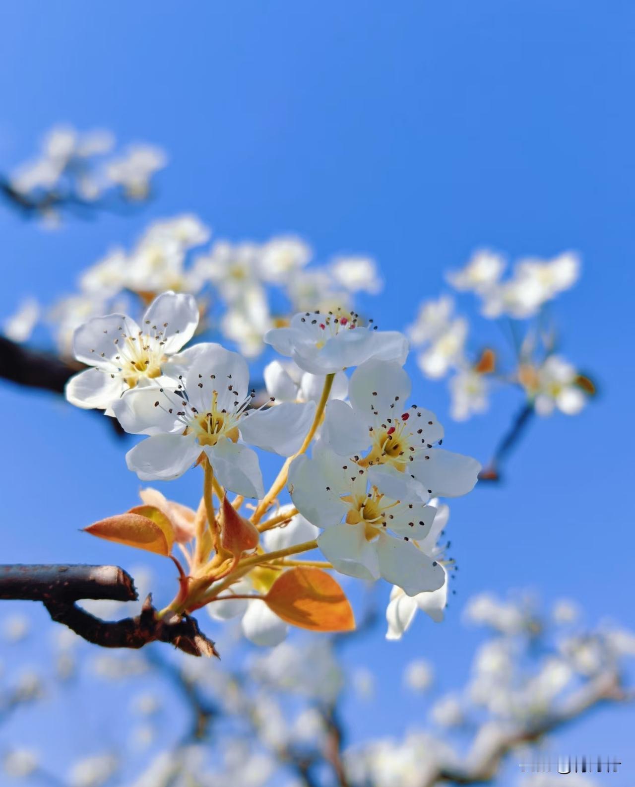 为啥中老年人都爱跳广场舞
真不是闲得没事干
年纪大了身体要活动
广场舞简单不伤身