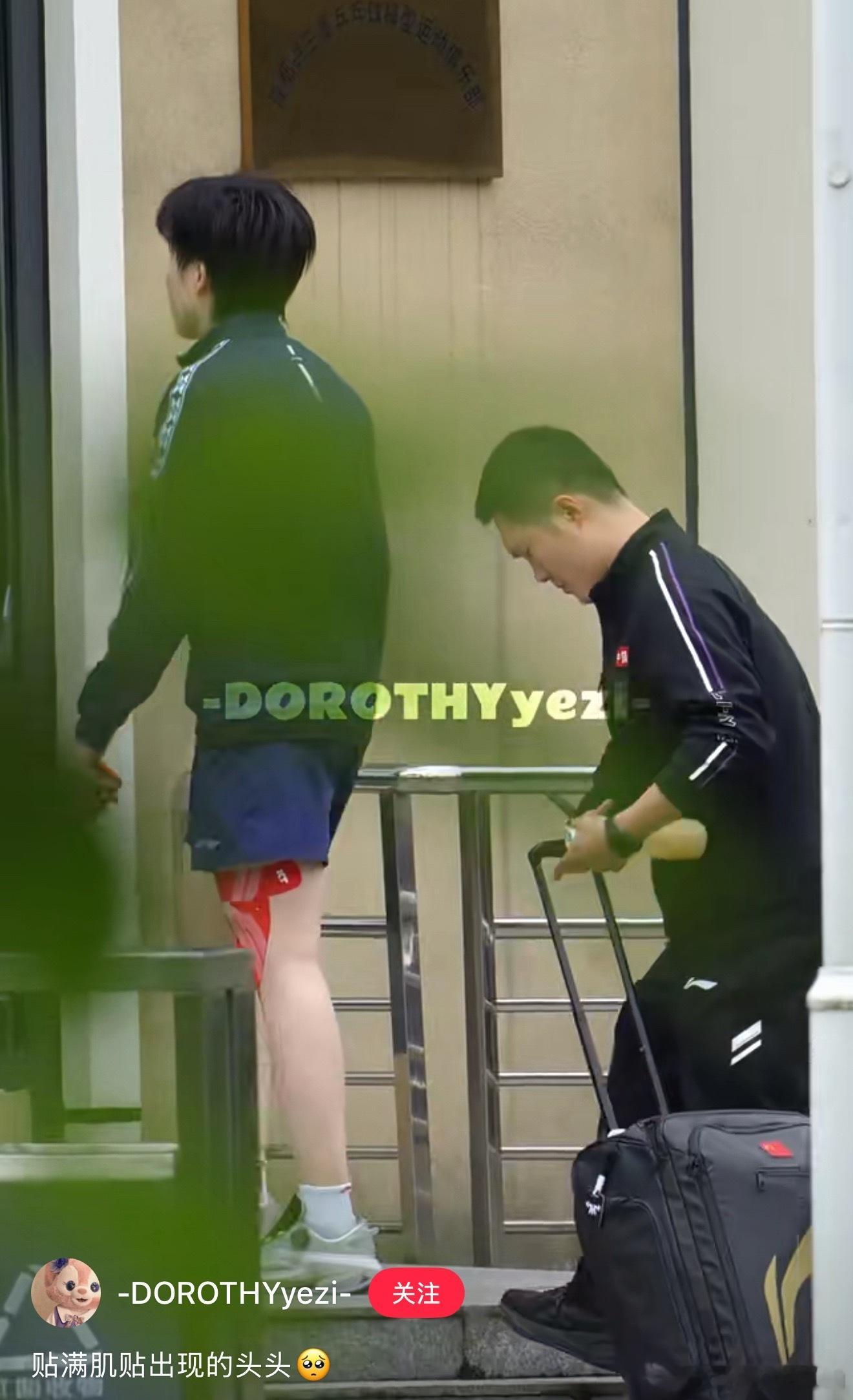 今日份莎莎和大头