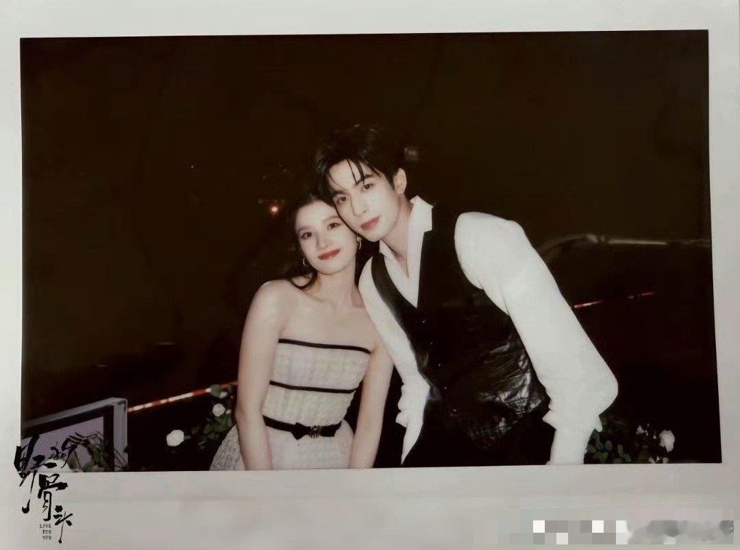 野狗骨头火力野狗骨头这火力很牛啊！ 