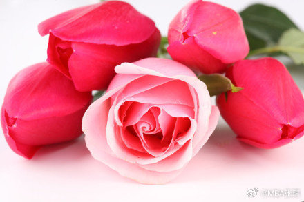 For thoes of us climbing to the top of t