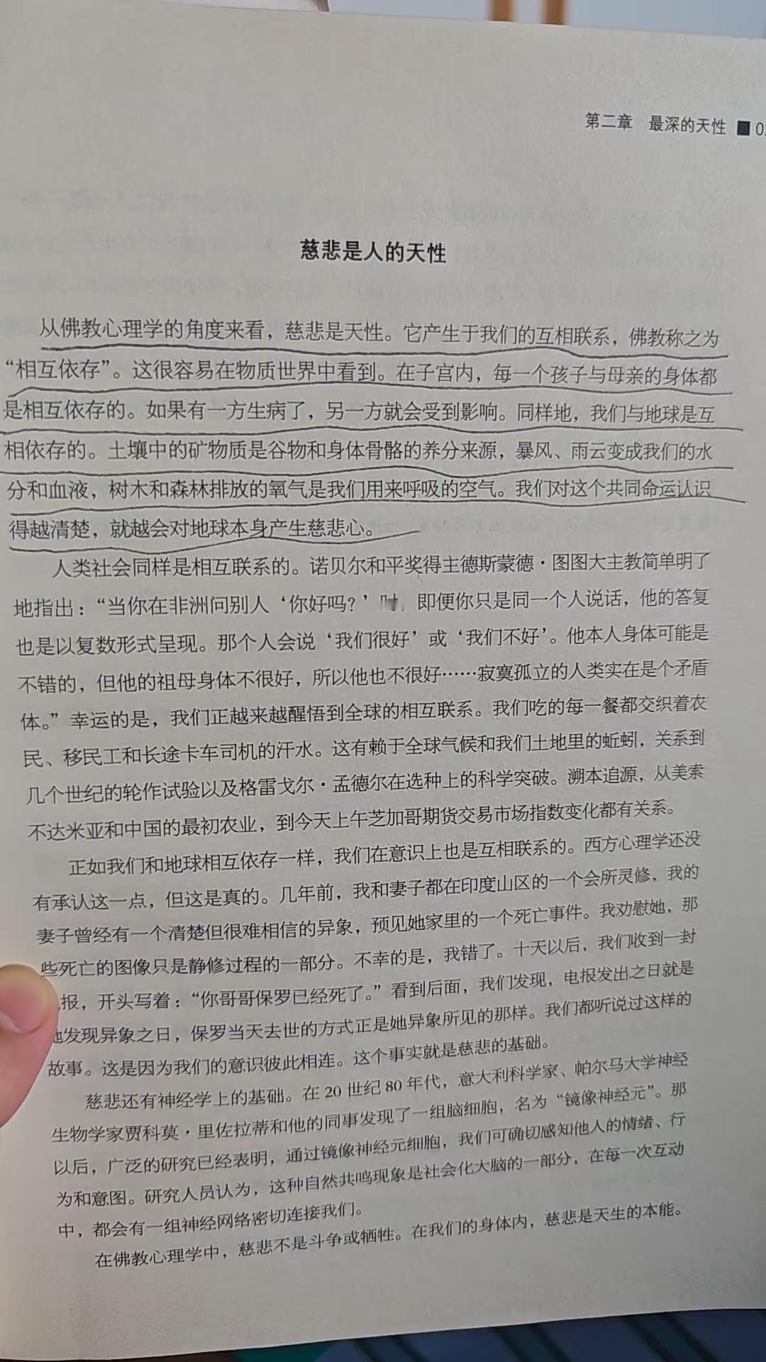 人类和地球相互依托，承载命运共同体！爱护地球！保护地球！