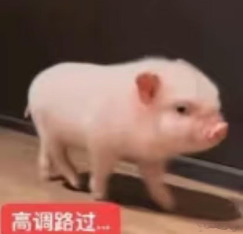 分享图片 