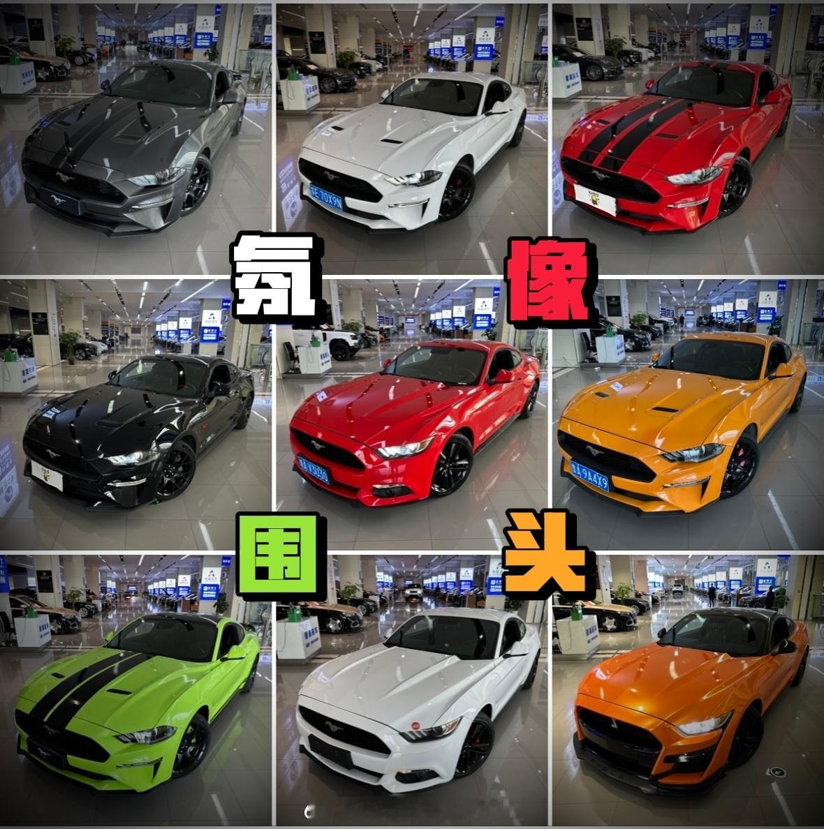 你买野马肯定是因为喜欢吧！毕竟它好帅啊！集邮吧…今年继续集邮！ 苏州