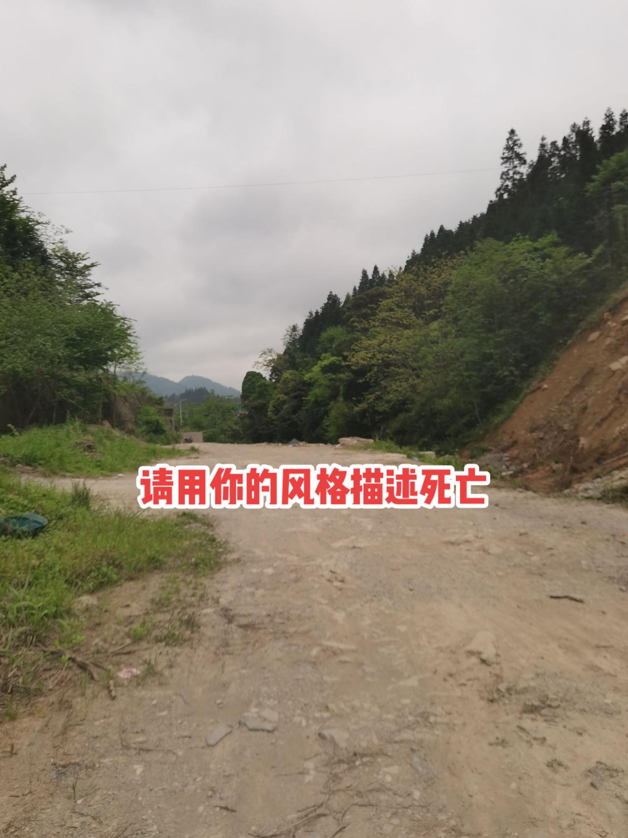 秋叶难留风做客，落红不语土为眠～
宛如那渺渺细雨，一点一点落下，我也该落下了。