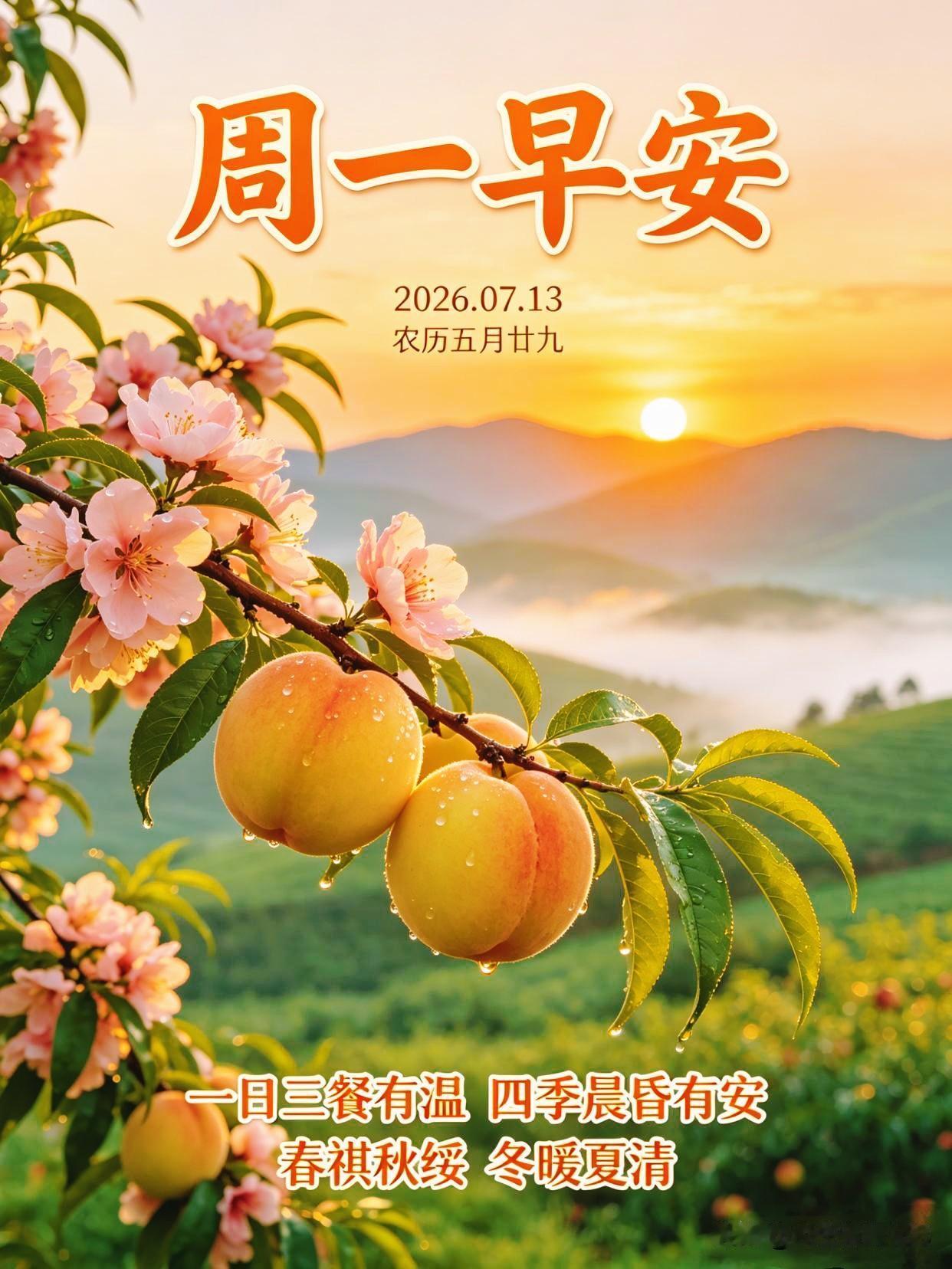 🌻新周快乐，万事如意🌸

夏日清晨，阳光正好，微风不燥。愿你电量满格，心情满
