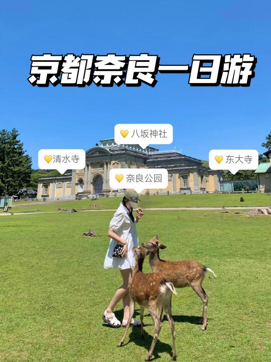 日本京都关西奈良一日游全攻略