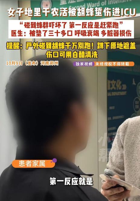 女子干农活被胡蜂蜇30多处进ICU一家三口干农户妻子被胡蜂蛰进ICU  农民干点
