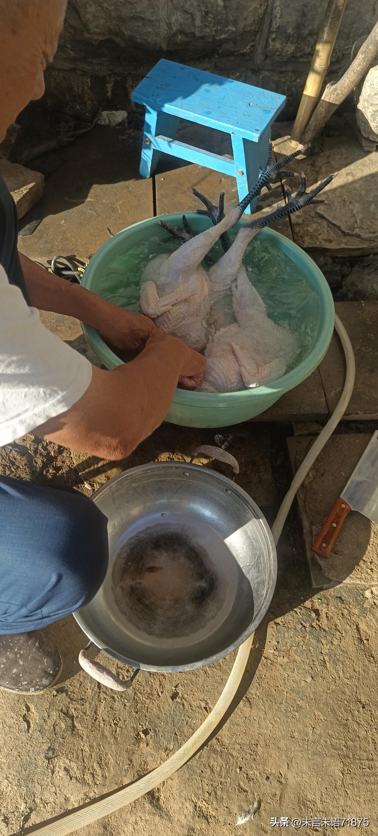 公婆听闻明天我们就将要回城，今天早晨我睁开眼，老两口那是一阵忙活。
婆婆在厨房里