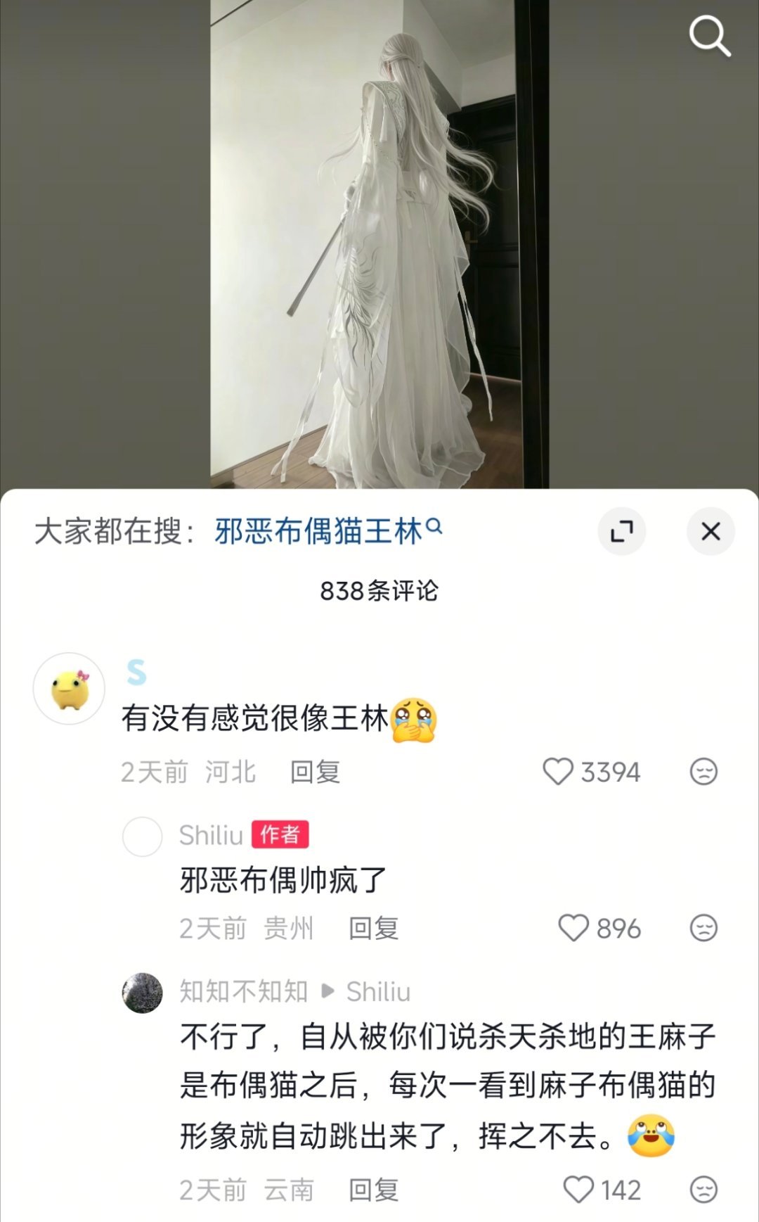 邪恶布偶猫小麻的形象真的很出圈啊｜仙逆王林 