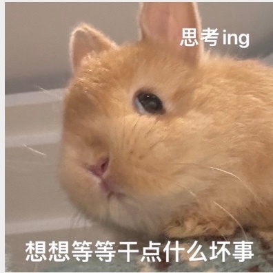 我家小宝宝就这样汪顺