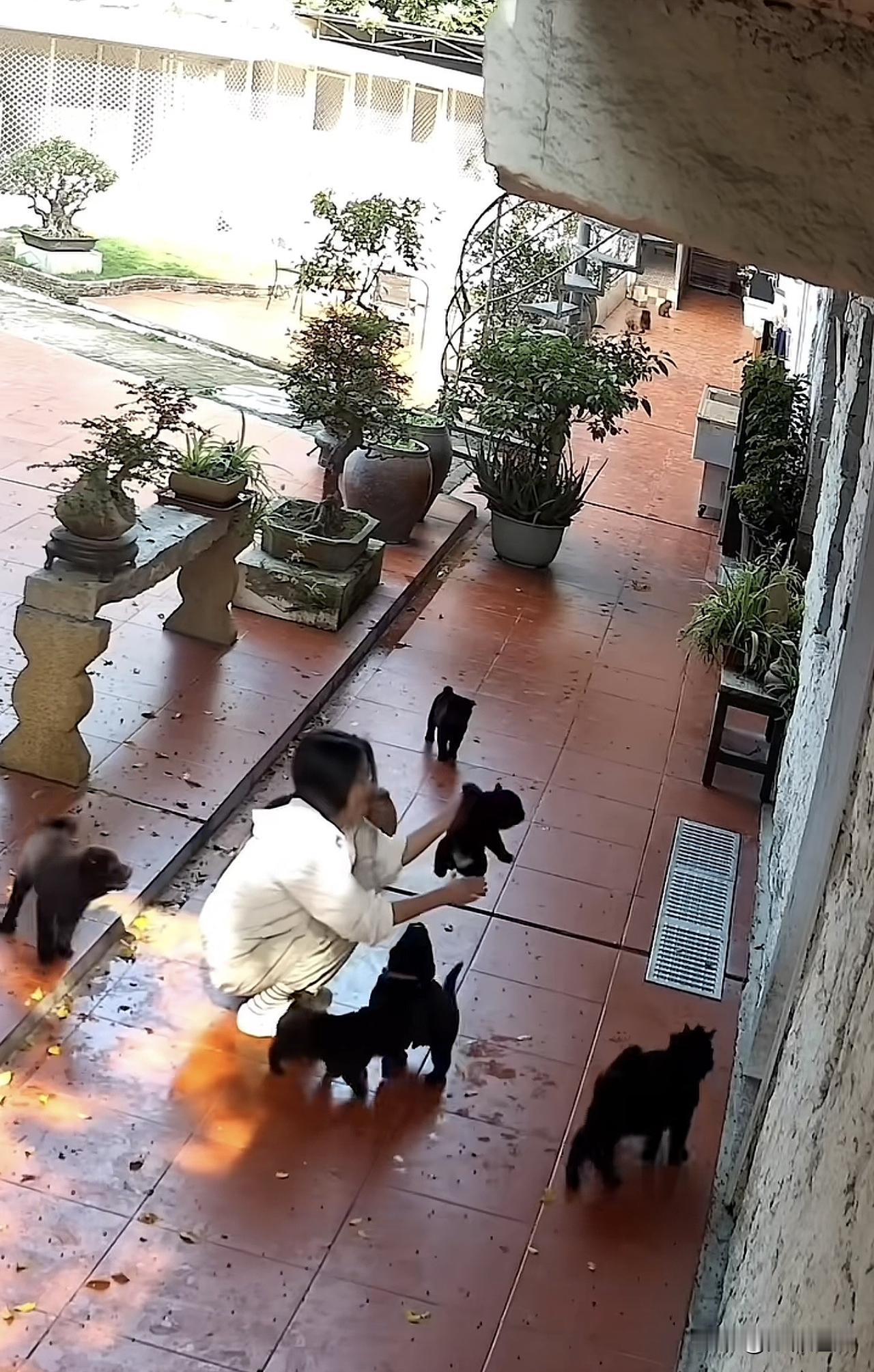 享受孤独，内心安然。

我还是喜欢一个人，孤独对我来说不是问题，朋友对我来说也不