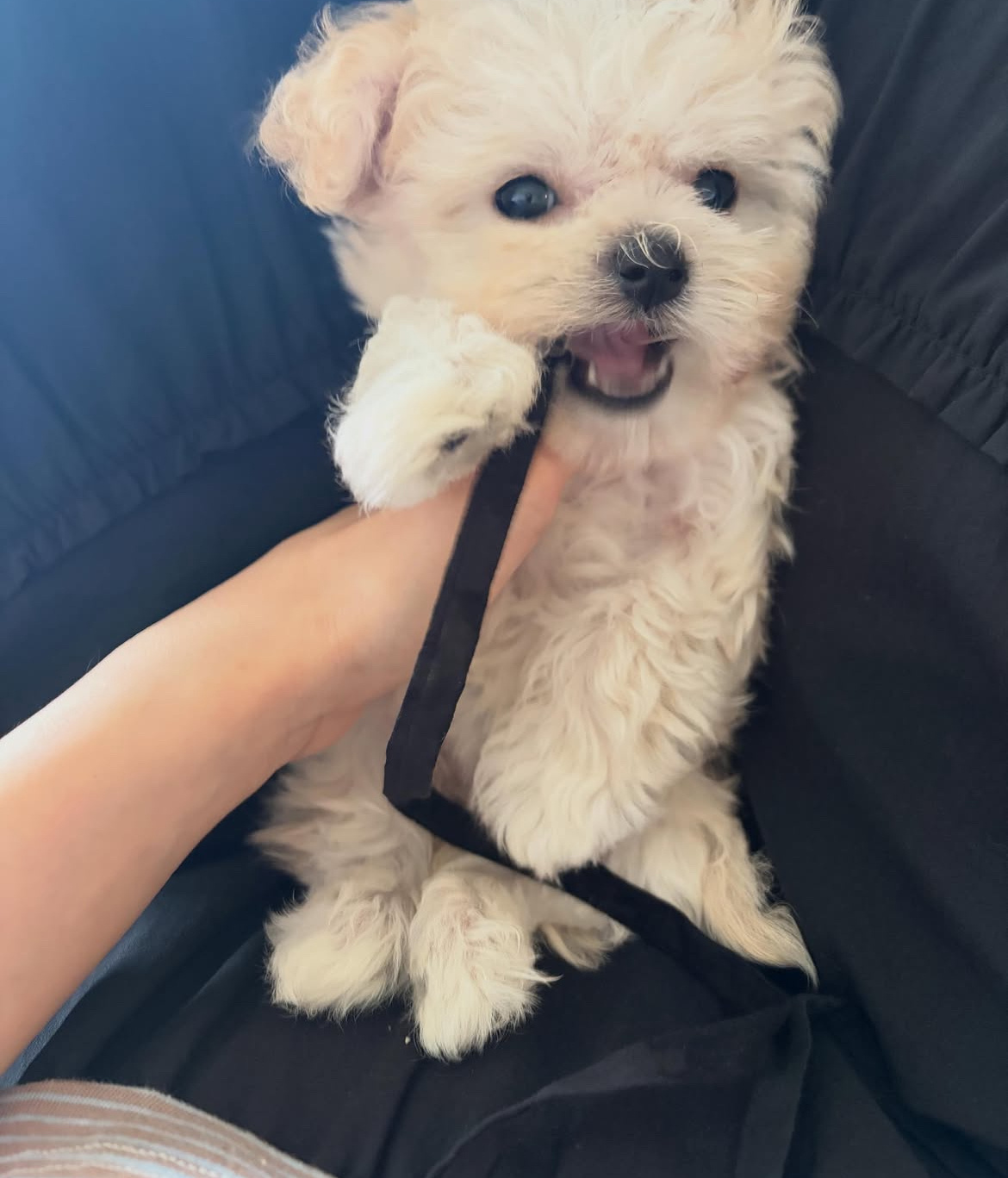 260630 _park_jungyeon更新波妞相关旼炡尼的练习生朋友朴净涓和