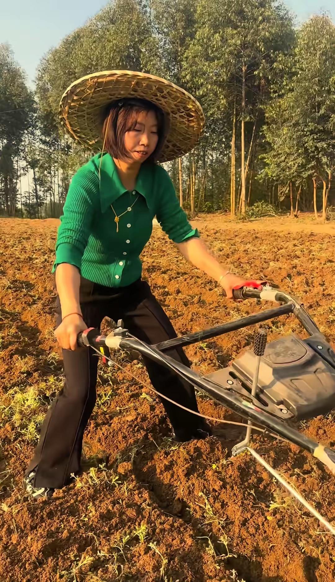 英子出于好心的确给四哥大姐借了十几万，四哥大姐想着也是一家人，刚开始也是很感谢兄