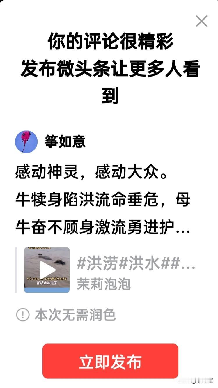 感动神灵，感动大众。
牛犊身陷洪流命垂危，母牛奋不顾身激流勇进护犊到岸边，众人合