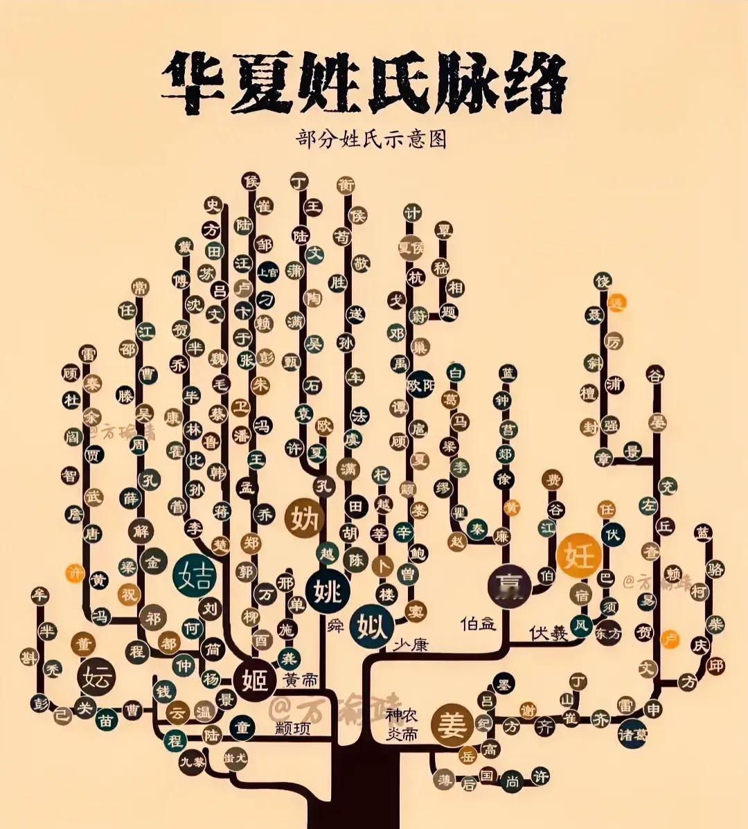 谈及华夏大地的姓氏，你是否也曾好奇，自己究竟是哪一脉风骨的传承者呢？是在历史的长