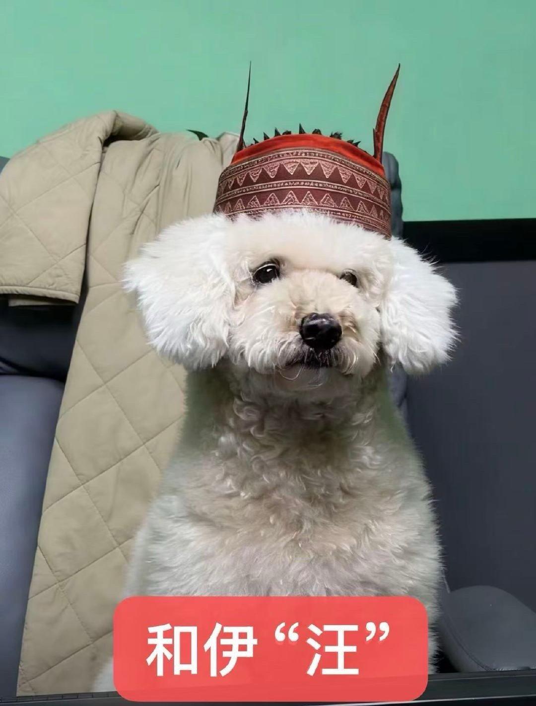 这是和伊玄这是和伊咪此沙和伊玄的兵遍布全网 由于此沙饰演的和伊玄头饰太有特点！网