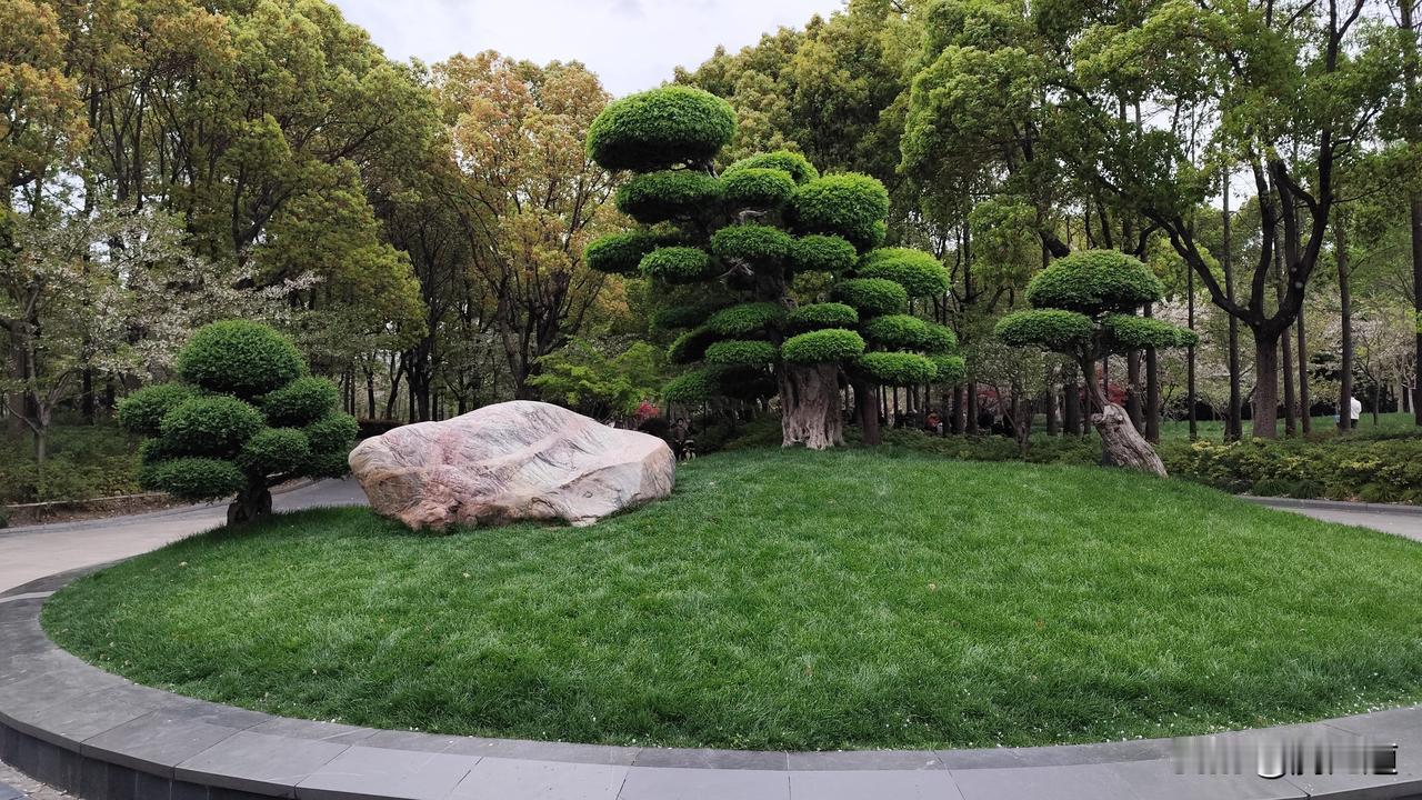 每日一图随手拍春草茵茵树景美