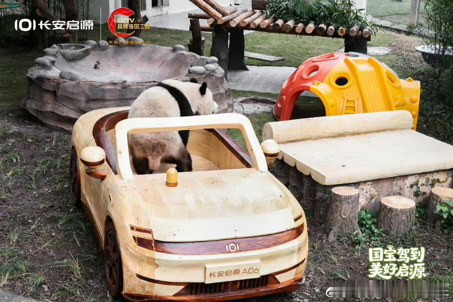 莽灿灿的新居生活返图啦新家新车启新程璀璨“熊”生，我们一起守护！ 