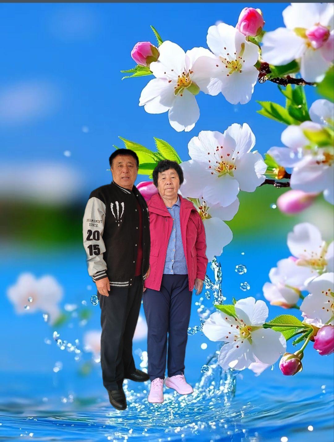风吹不散你的容颜一一
