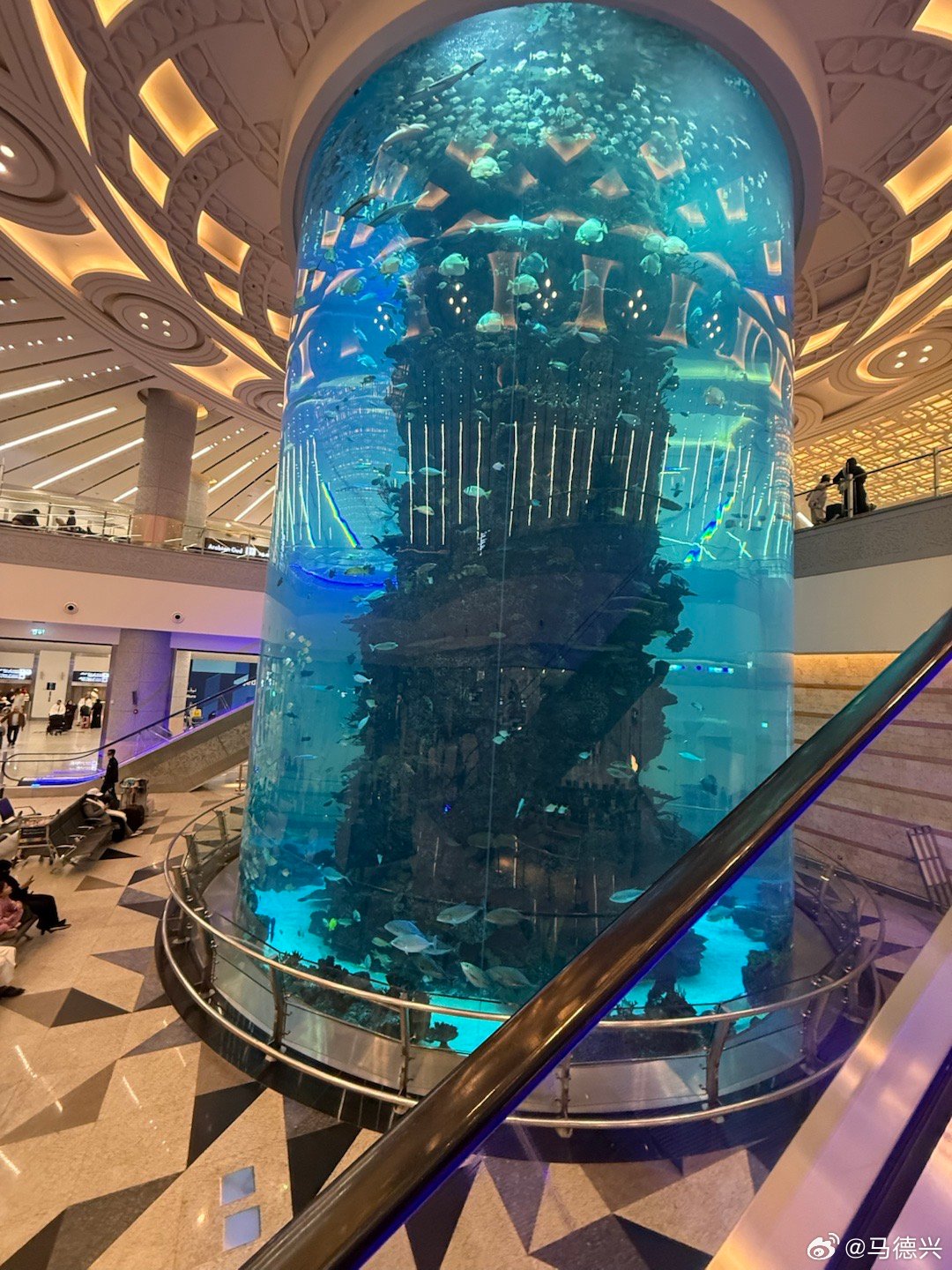 u23国足国足u23亚洲杯 2021年12强赛期间，客场打沙特就在吉达。当时吉达