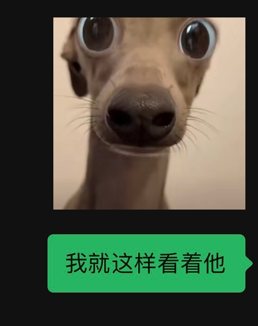 今晚老mio一开场我就被小政绪举枪给击毙了是啥意思 ​​​