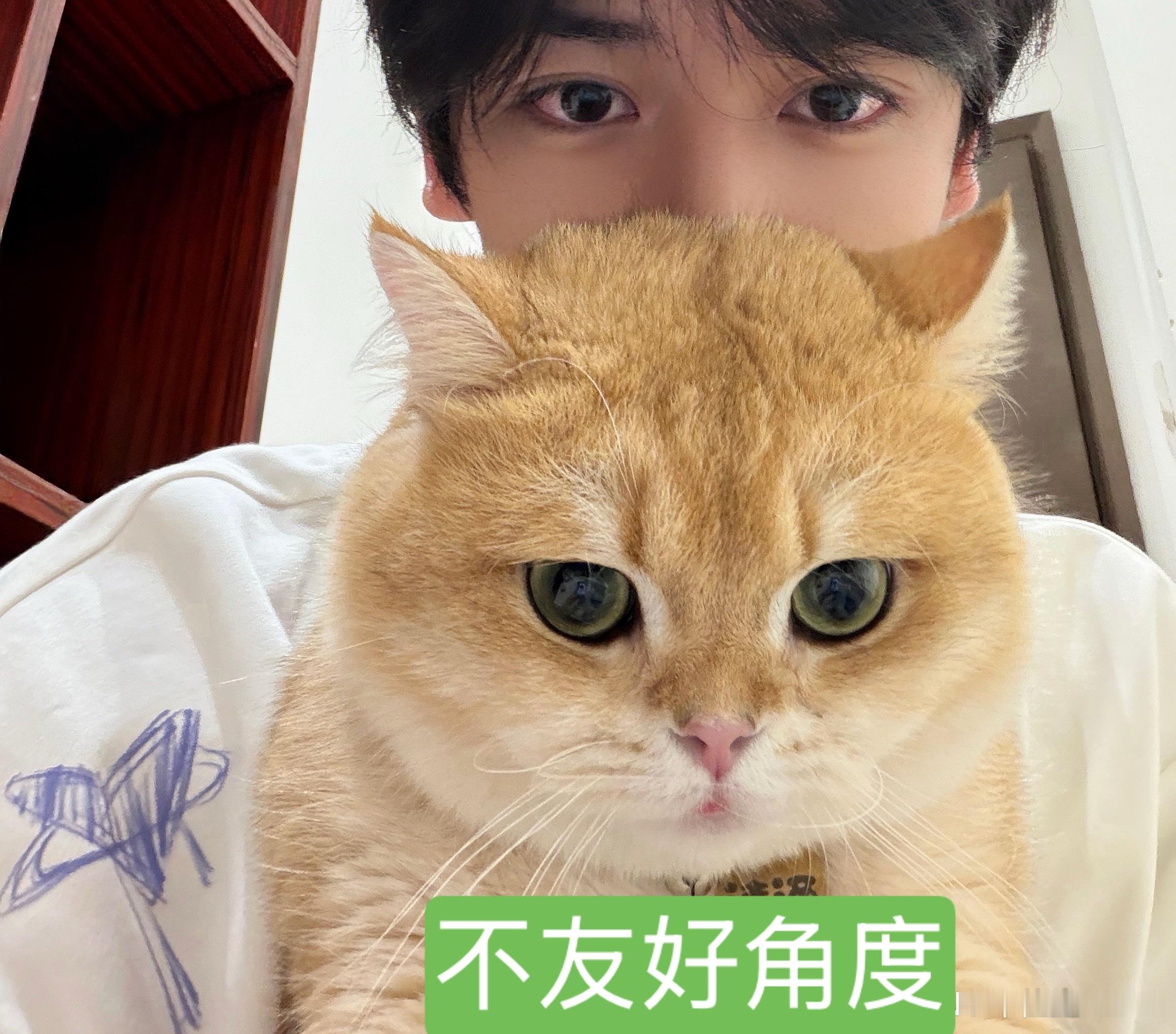 正常角度vs不友好角度李涛大19嘎蛋后是不是变好看了 