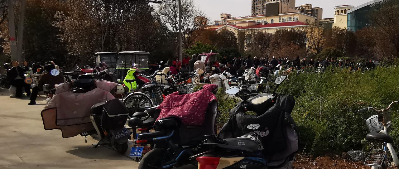 这里可能是亚洲最大的露天棋牌场了。自乐班、象棋、挖坑、麻将一应俱全。
每天下午2