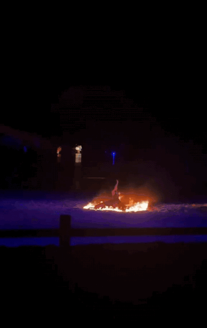 4月2日，有网友爆料，江苏南通森林野生动物园内，一场火舞表演发生意外。

视频中