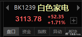 家电开盘大涨，到欧洲去，把空调卖到欧洲去 