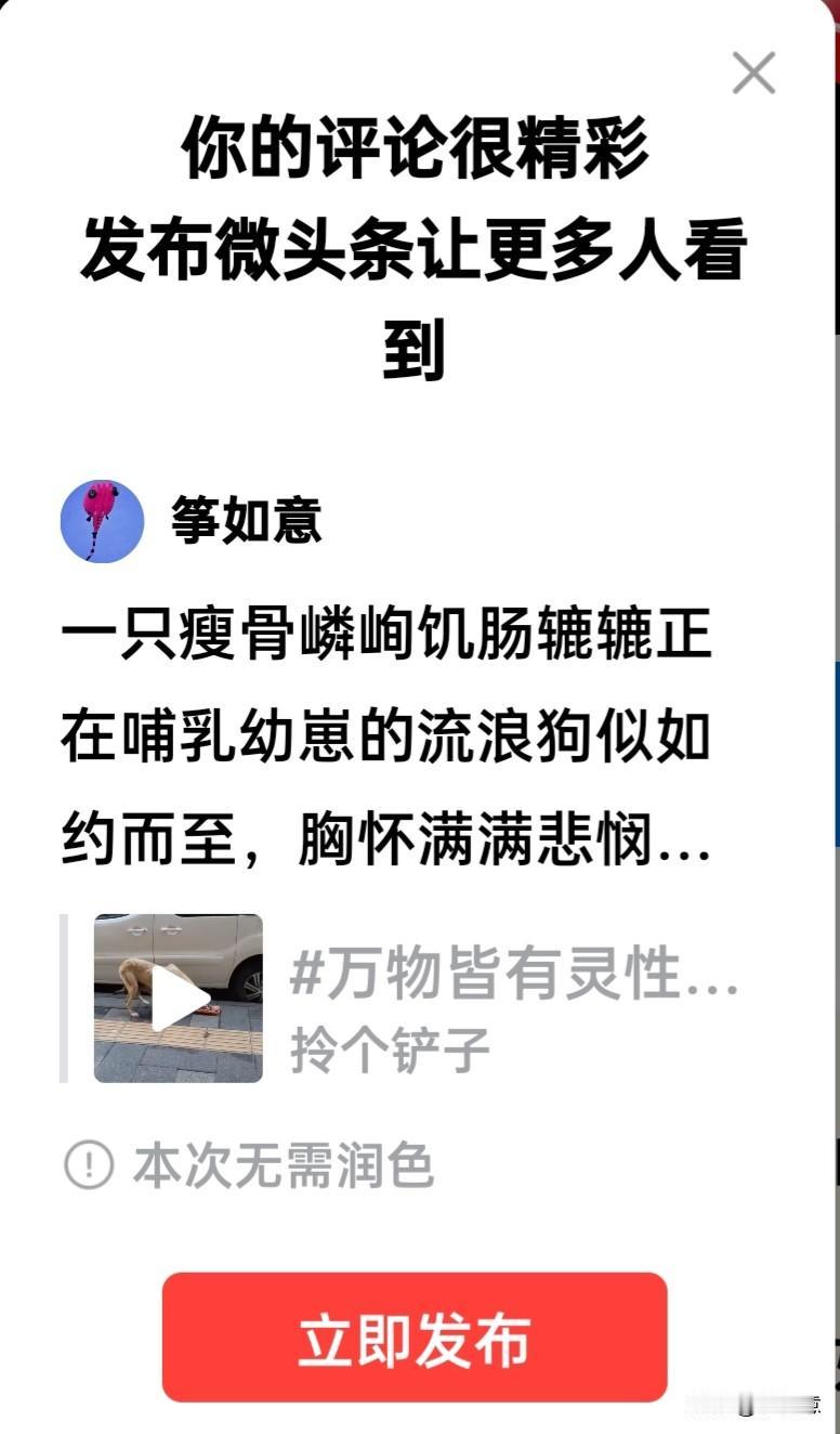 一只瘦骨嶙峋饥肠辘辘正在哺乳幼崽的流浪狗似如约而至，胸怀满满悲悯之意好心人，如常