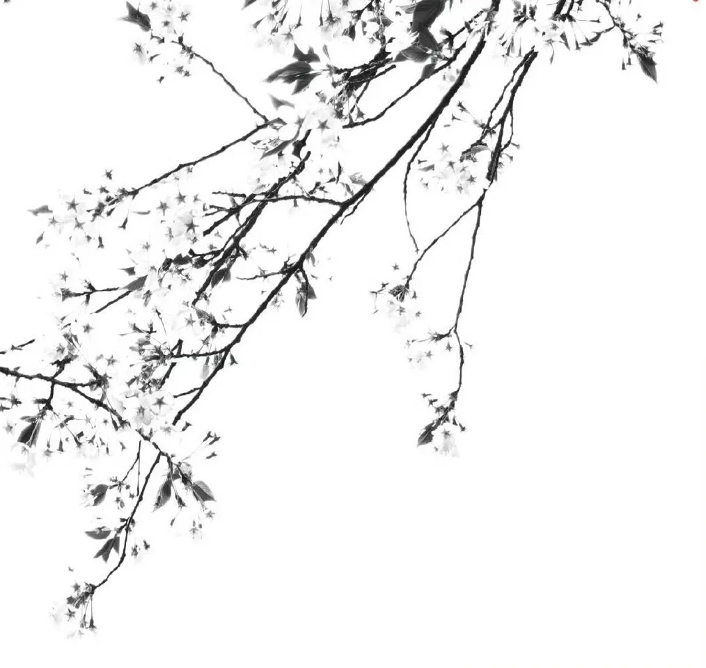 WeChat动漫女头‖女生头像‖头像搭配 头像｜背景｜情绪风｜治愈系｜风景背景｜